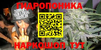 СК Абакан