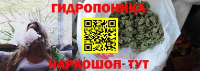 СК Абакан