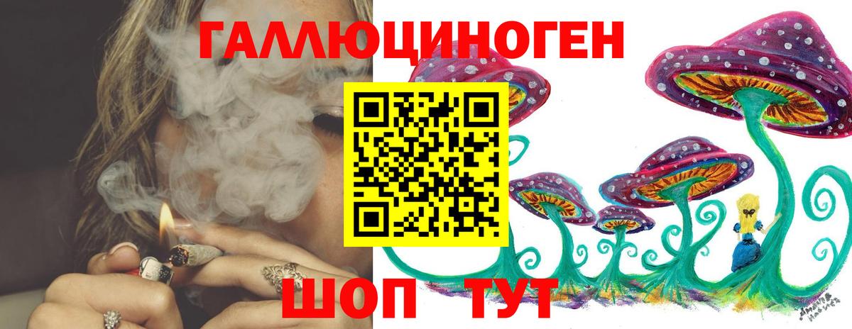 Псилоцибиновые грибы Psilocybe Абинск