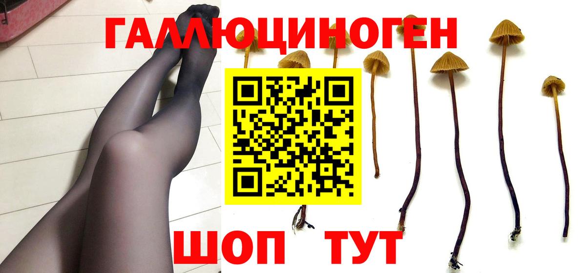 Галлюциногенные грибы GOLDEN TEACHER  Вход с VPN  Абинск 